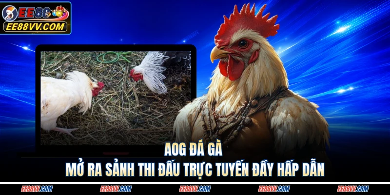 AOG Đá Gà Mở Ra Sảnh Thi Đấu Trực Tuyến Đầy Hấp Dẫn