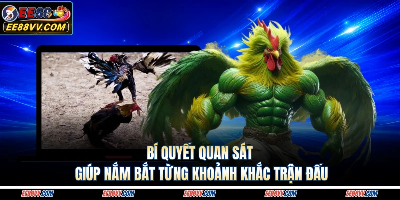 Bí quyết quan sát giúp nắm bắt từng khoảnh khắc trận đấu