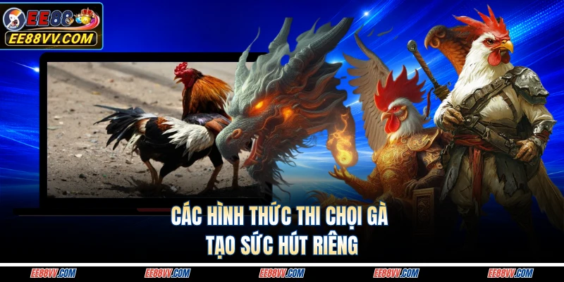 Các hình thức thi chọi gà tạo sức hút riêng