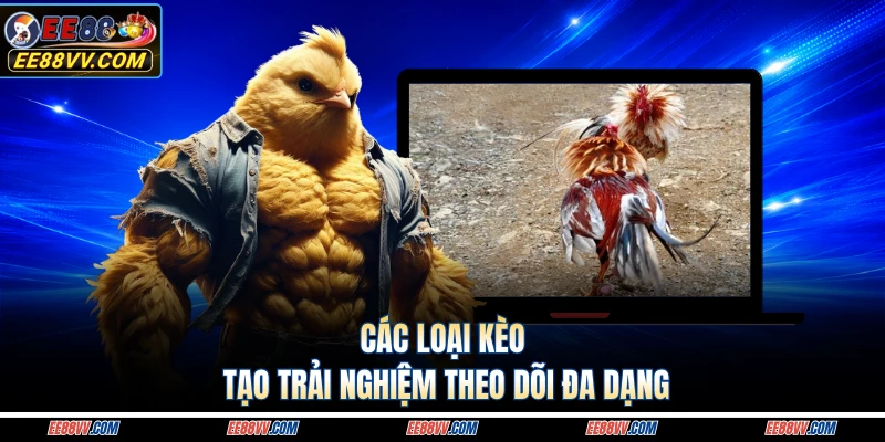 Các loại kèo tạo trải nghiệm theo dõi đa dạng