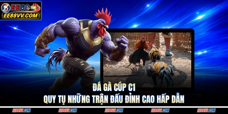 Đá Gà Cúp C1 - Quy Tụ Những Trận Đấu Đỉnh Cao Hấp Dẫn