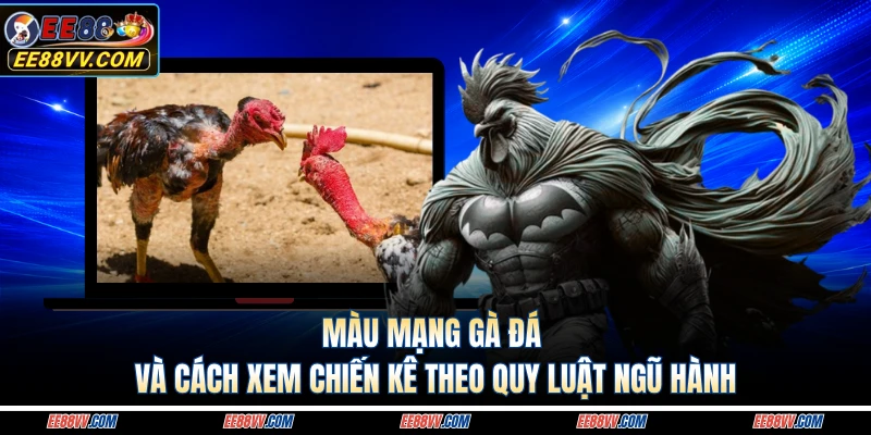 Màu Mạng Gà Đá Và Cách Xem Chiến Kê Theo Quy Luật Ngũ Hành